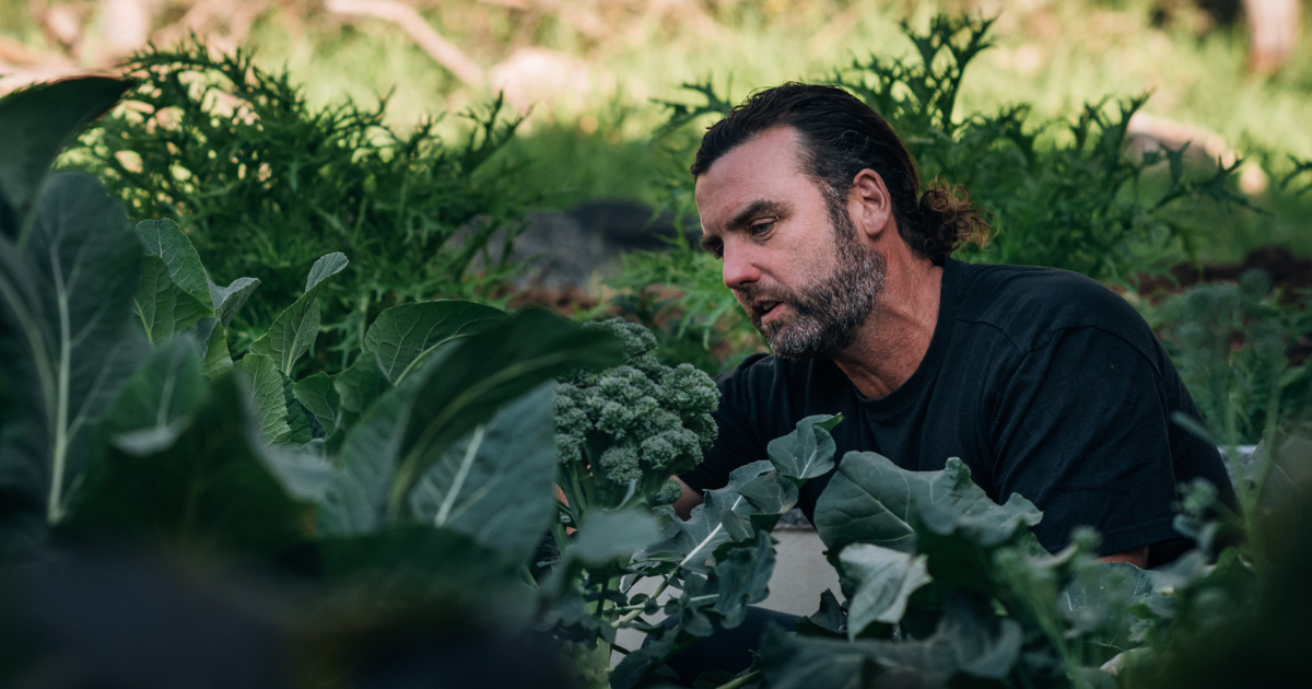 Understanding Slow Release Plant Fertiliser: An Organic Approach