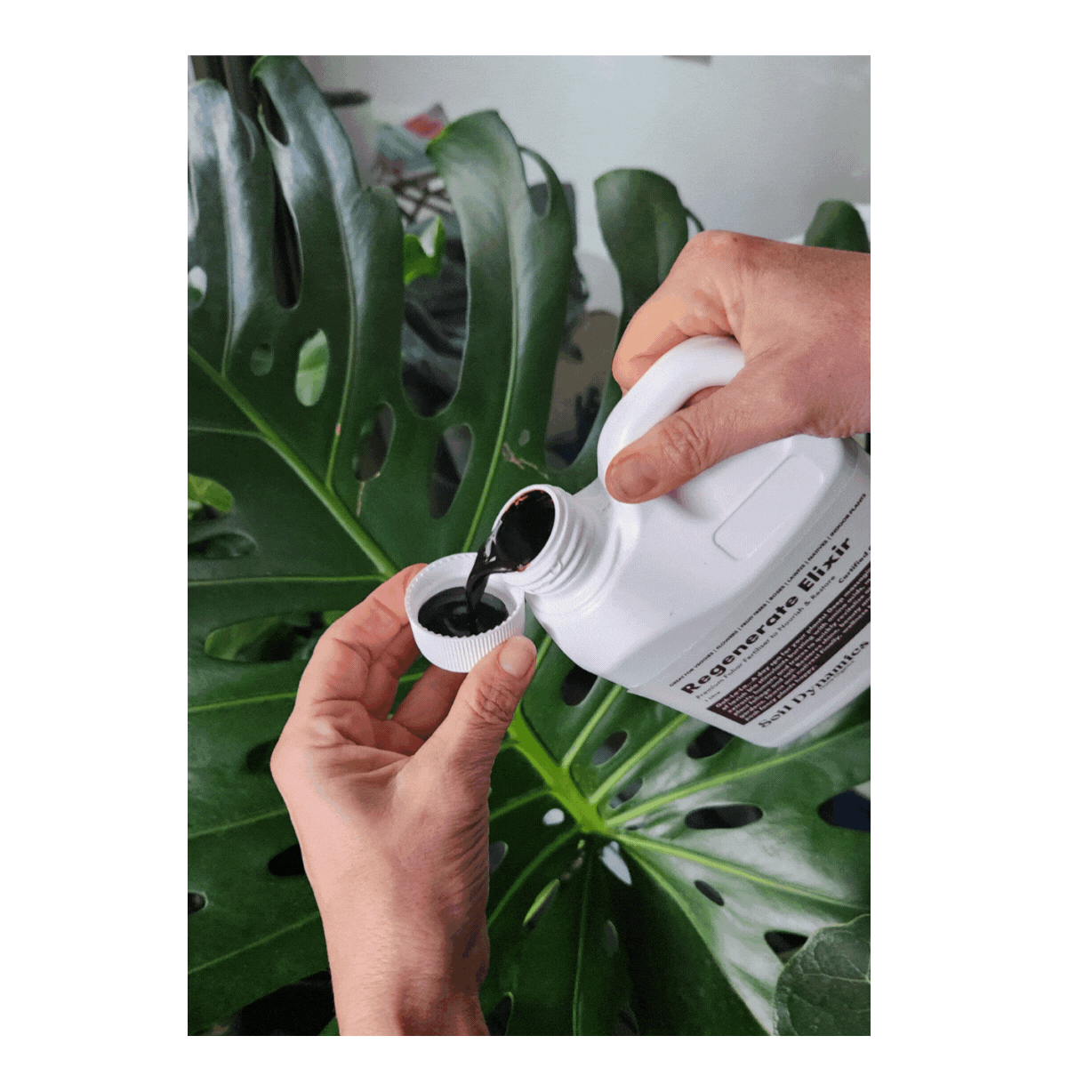 Regenerate Elixir - Trace Elements fertilizer