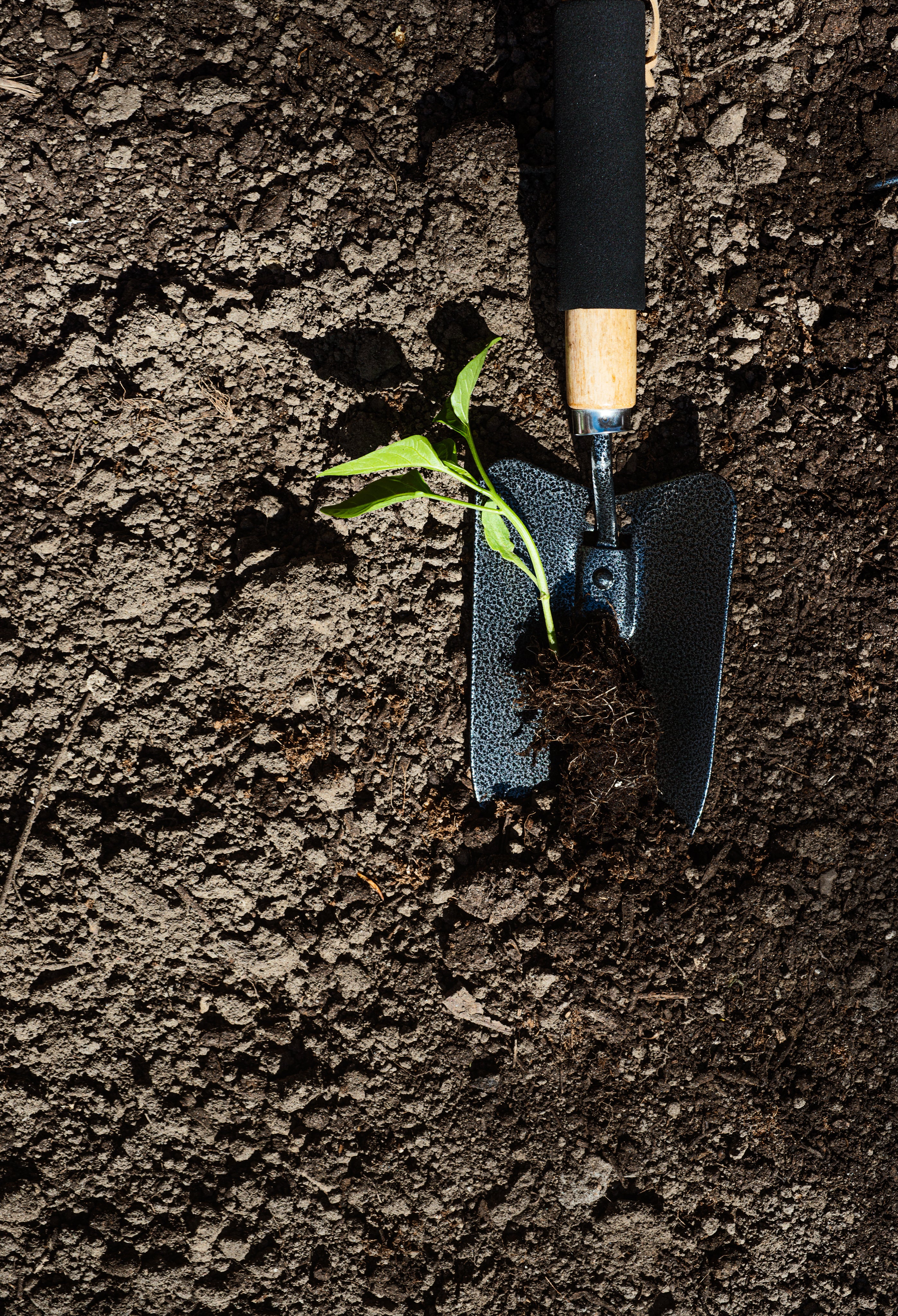 organic vegetable fertiliser