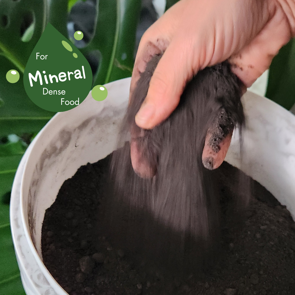 Why More Australians Are Switching to Organic Fertilisers