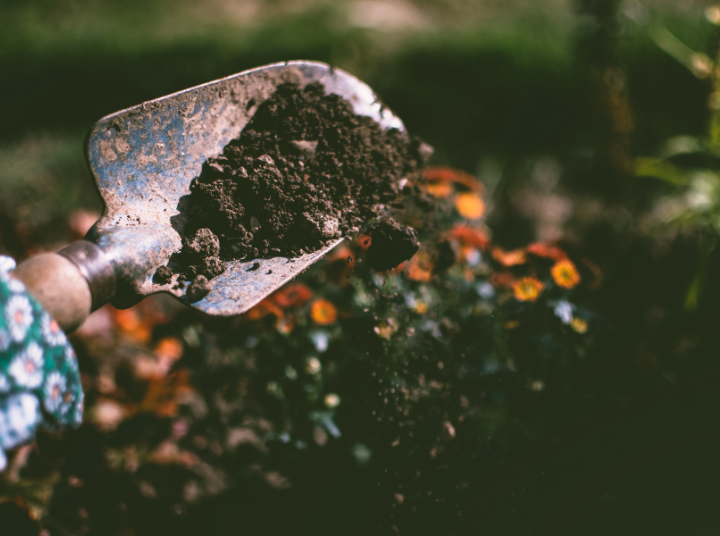 The Benefits of Using Organic Fertilisers for Soil Health in Australia
