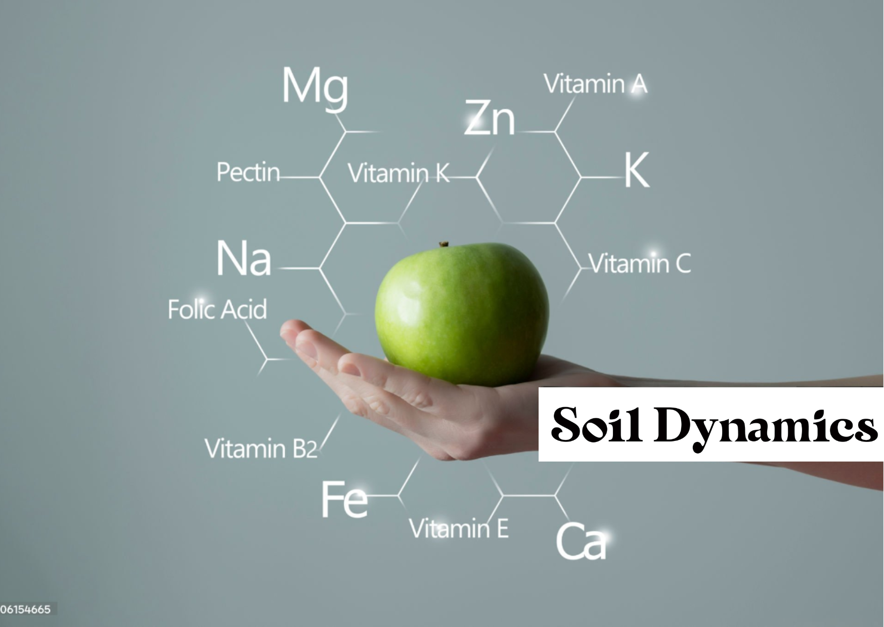 What are the 17 nutrients for plants?