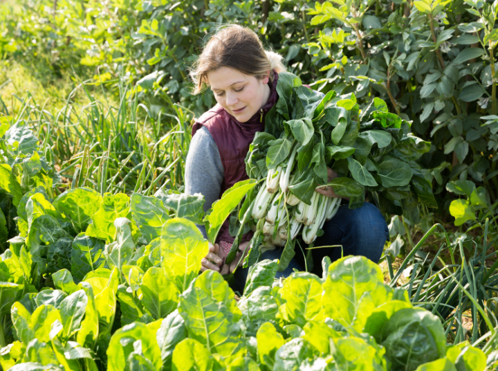woman in garden 