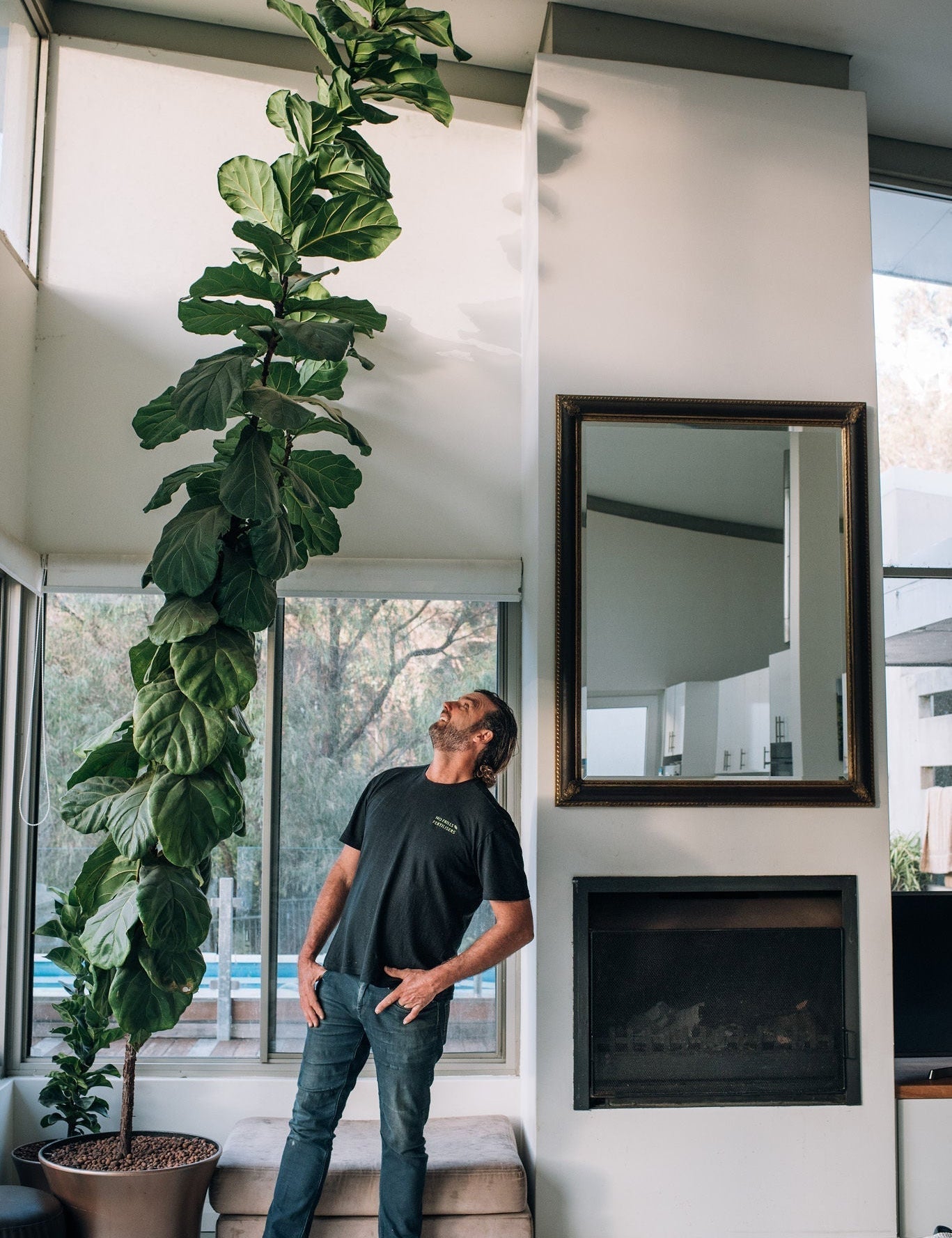 Healthy indoor plants in bright apartment with organic liquid fertiliser bottles   Person diluting liquid organic fertiliser for indoor potted plants   Thriving indoor plant collection fed with certified organic fertiliser 