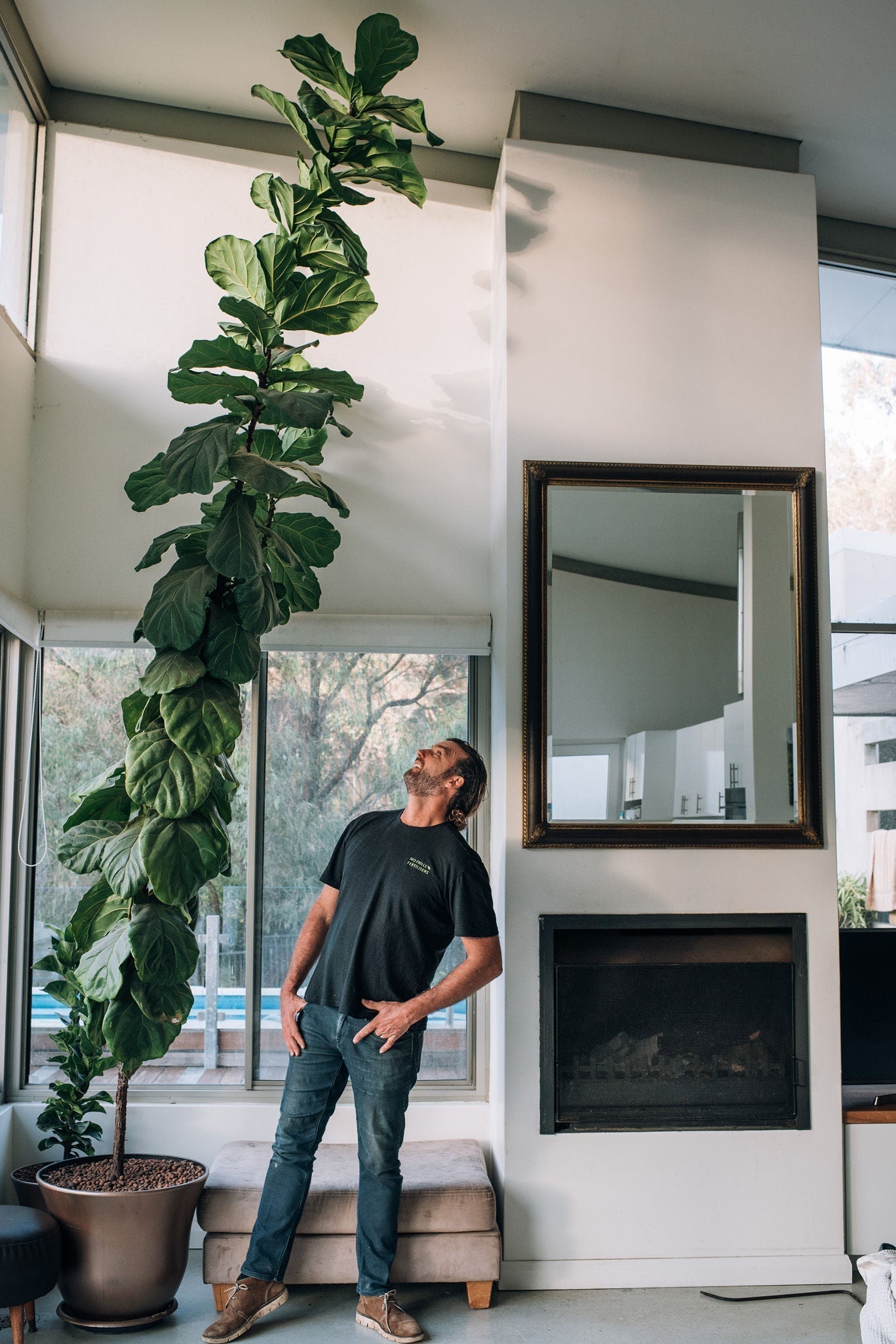 Healthy indoor plants in bright apartment with organic liquid fertiliser bottles   Person diluting liquid organic fertiliser for indoor potted plants   Thriving indoor plant collection fed with certified organic fertiliser 