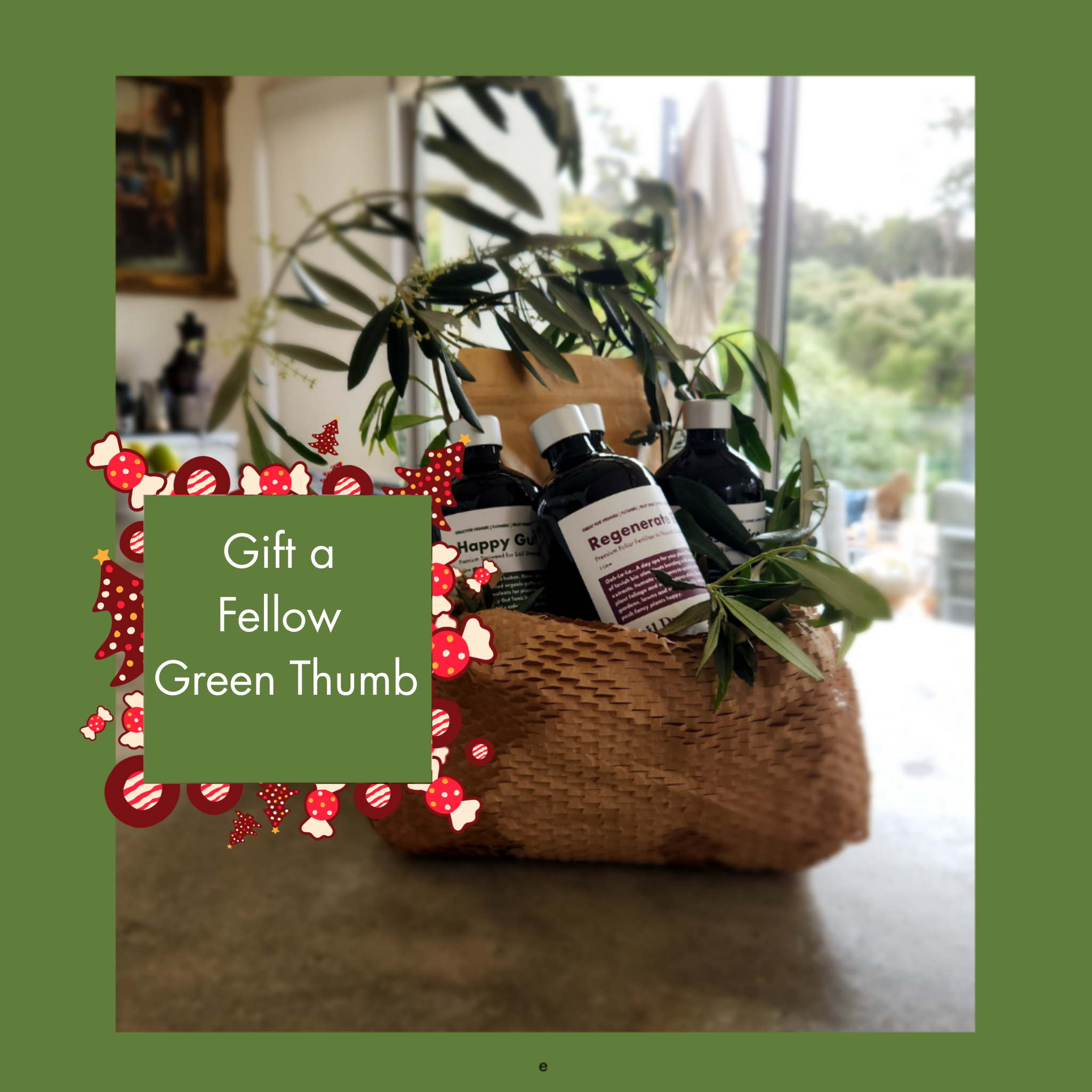Gift_a_Fellow_Green_Thumb_c338c9ab-4cbf-49ac-9a2c-280571ddabcc.png