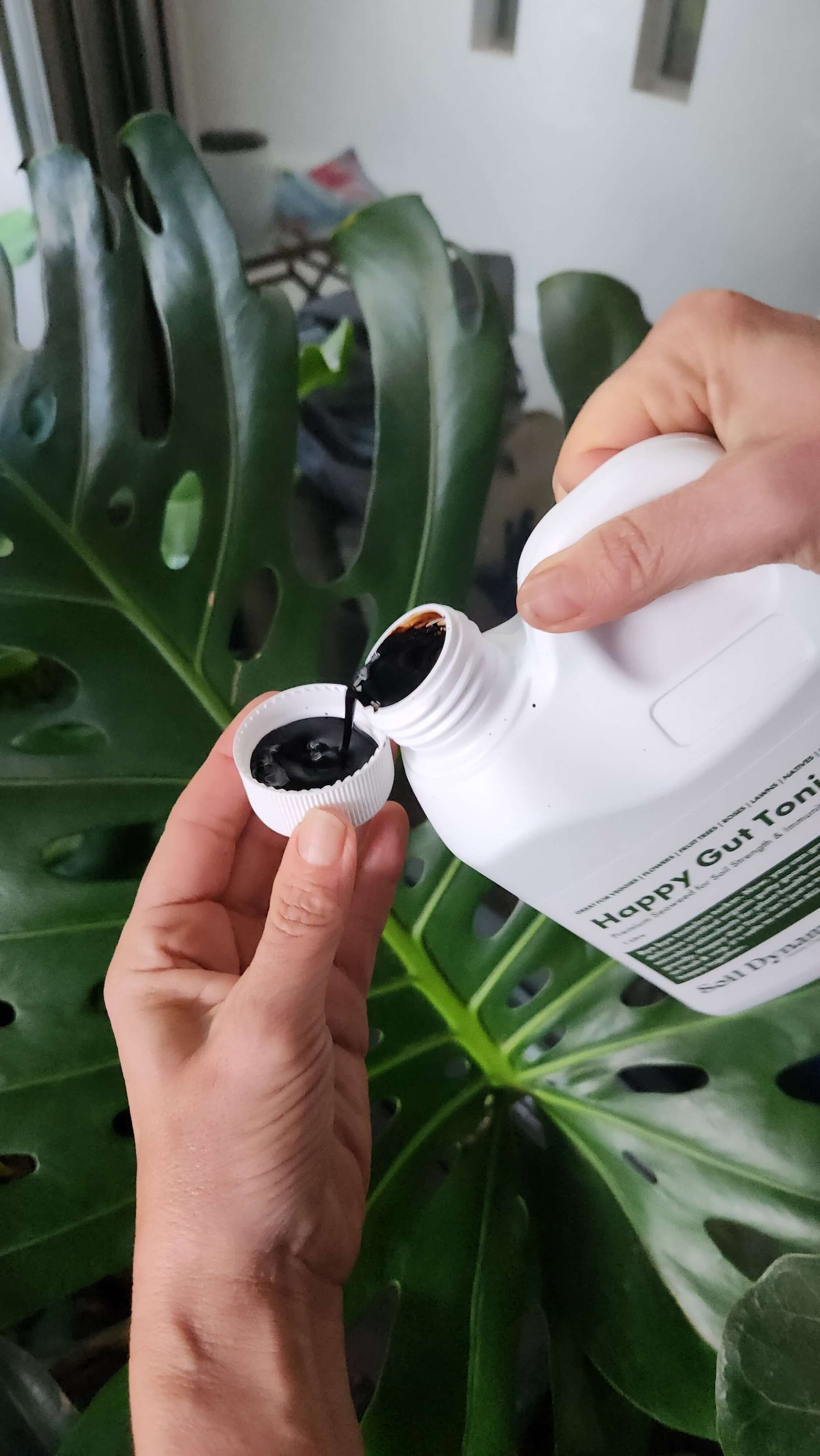 seaweed liquid fertiliser