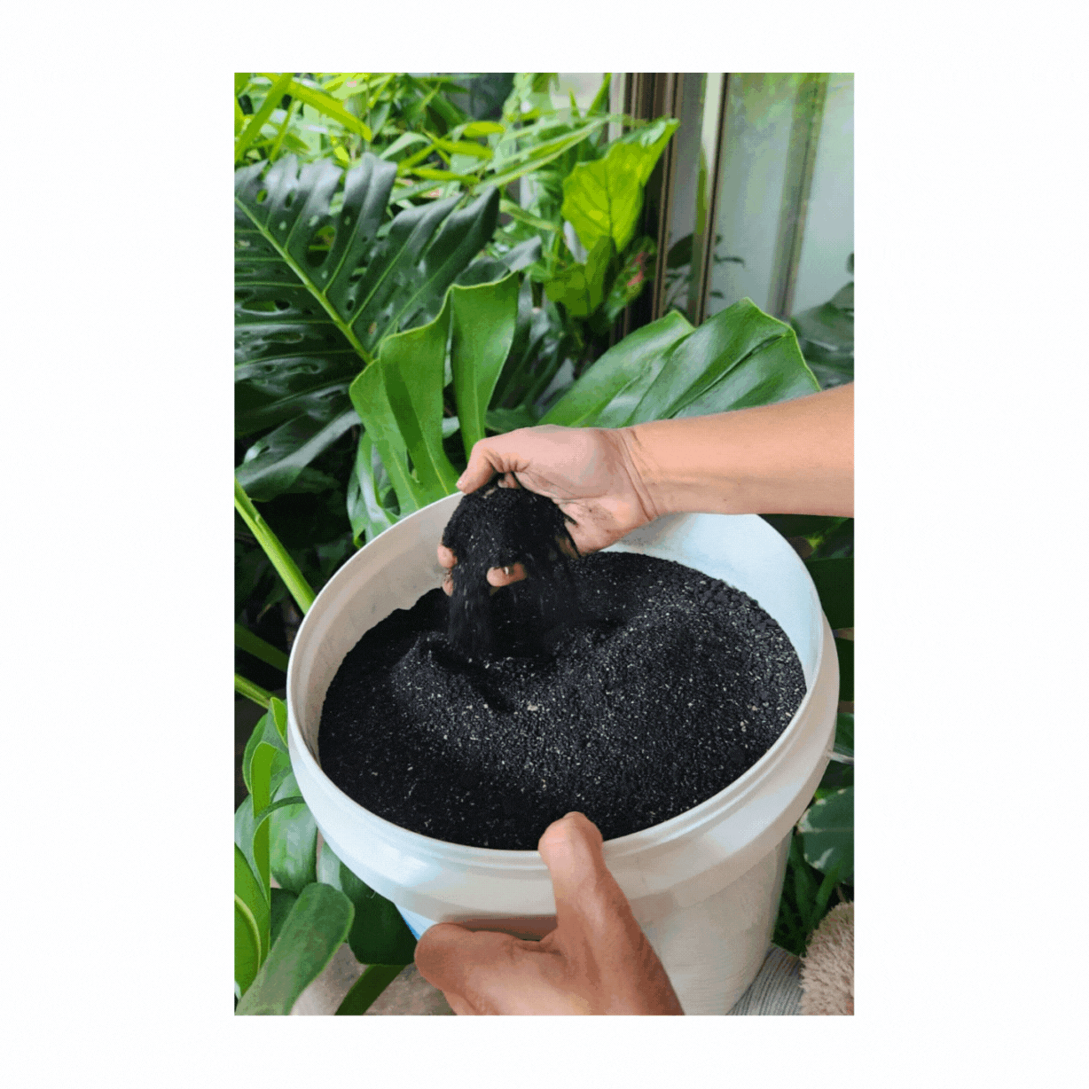 best organic lawn fertiliser