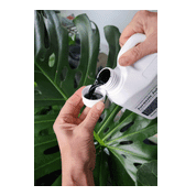 Jurassic Juice fertilizer    