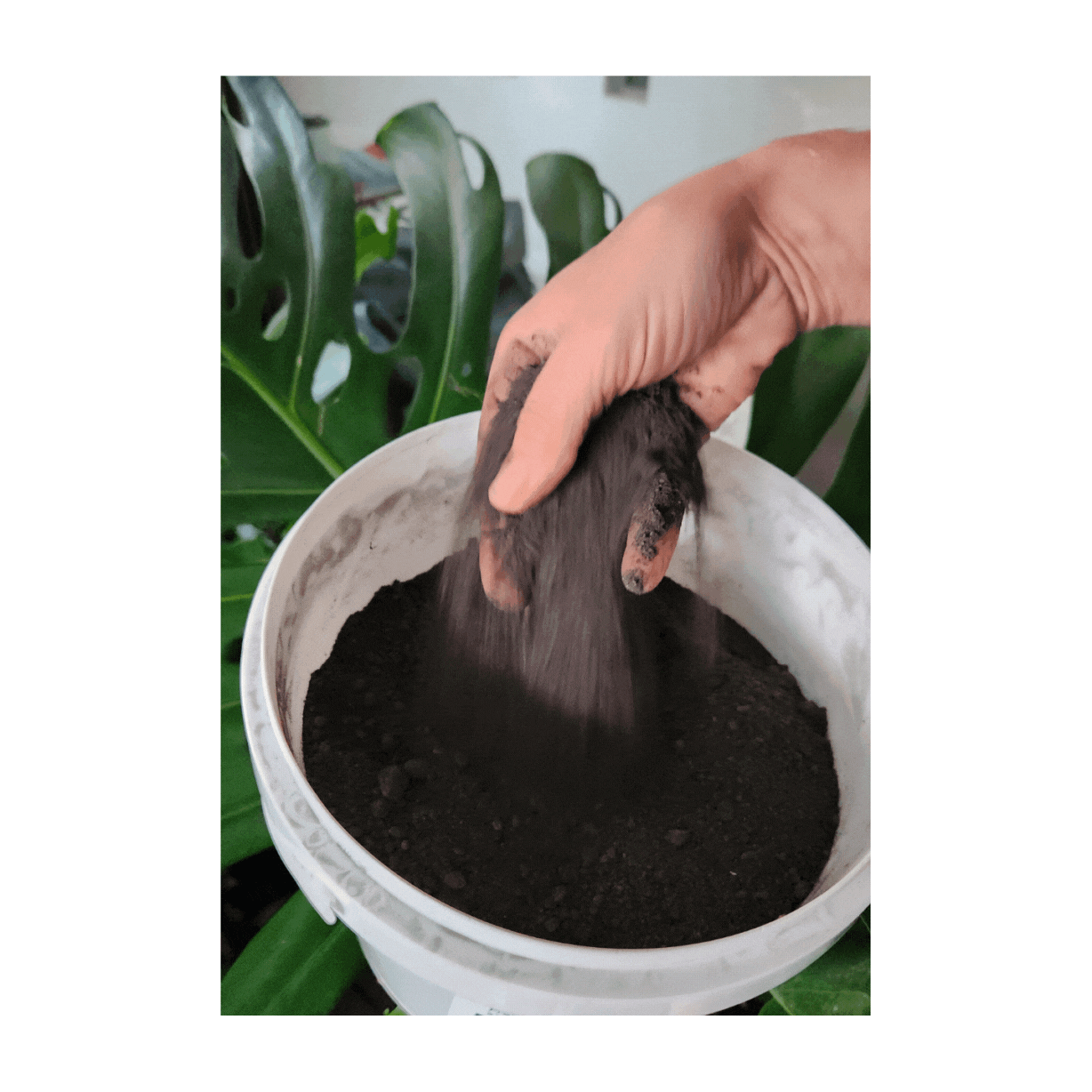 Nutrient Rock Star- Rock Dust Plus