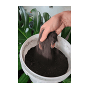 Nutrient Rock Star- Rock Dust Plus