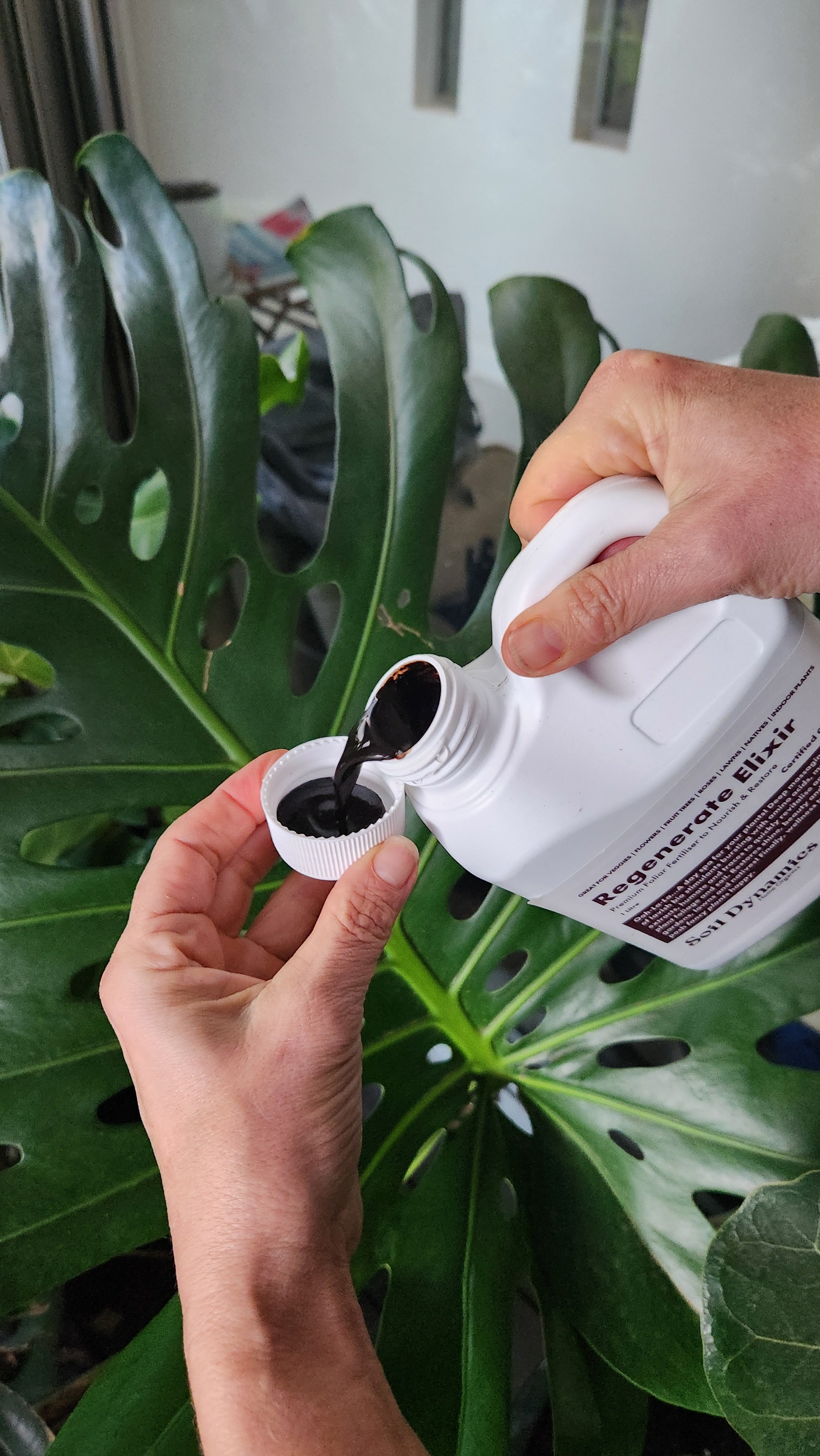 organic bio stimulant