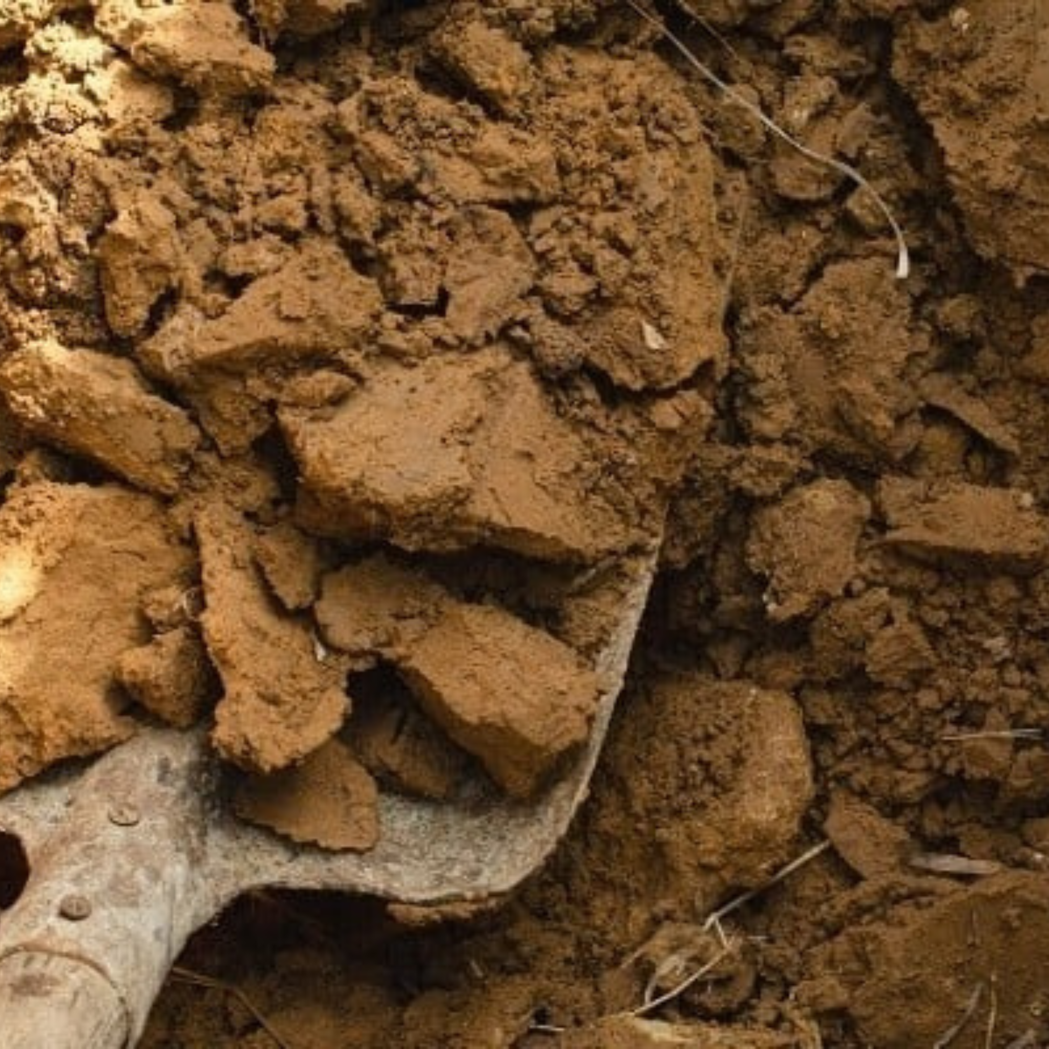 Wbsite_sandy_caly_soil_image.png