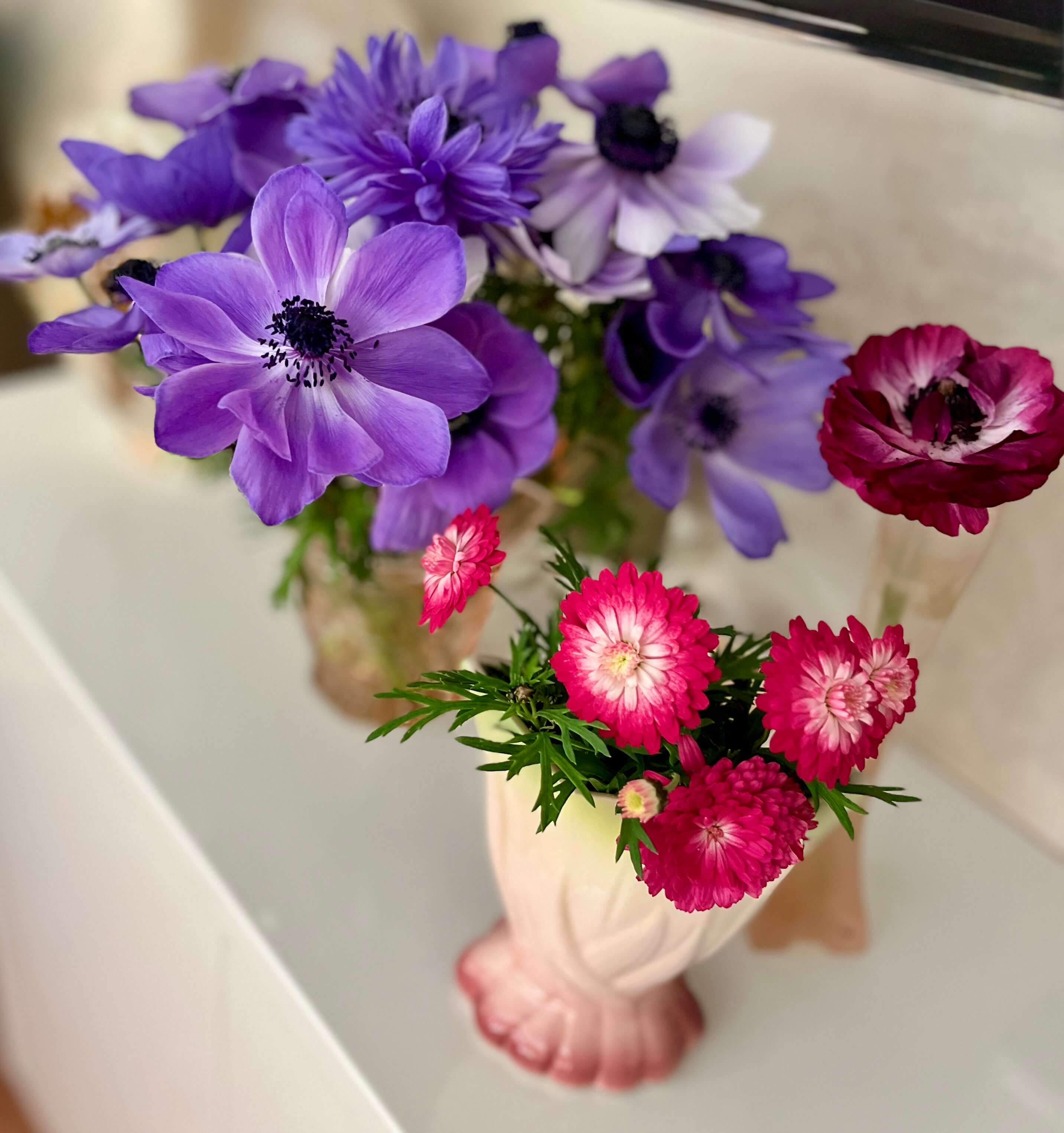 slow release all pupose fertiliser