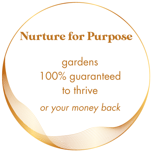 organic vegetable fertiliser
