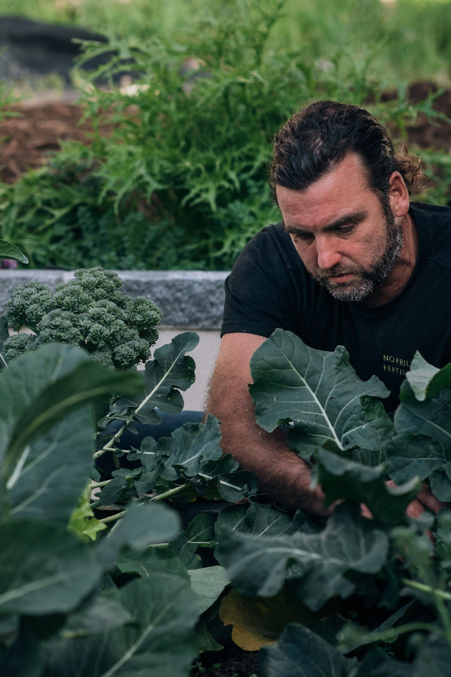 Organic fertilisers Australia