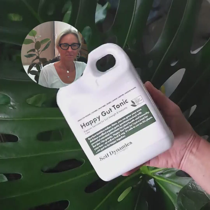 organic seaweed natural fertiliser