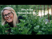 Nutrient Rock Star- Rock Dust Plus