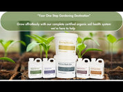 The Lot Bundle