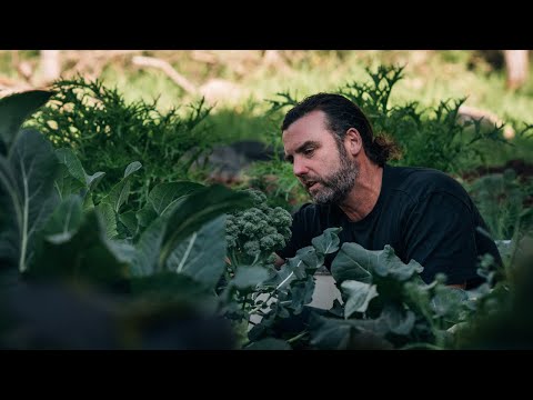 How to use the Jurassic Juice - Potassium Humate fertilizer  