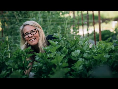  how to use Happy Gut Tonic
